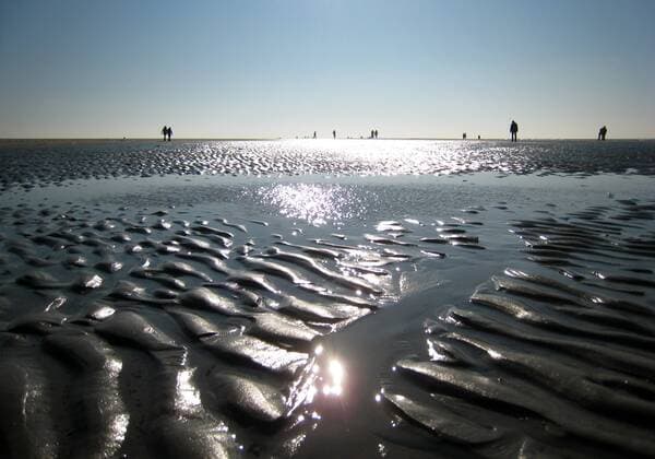 Wattlandschaft in Sankt Peter-Ording, Deutschland, Nordrhein-Westfalen, Sankt Peter-Ording wadden sea at Sankt Peter-Ording, Germany, North Rhine-Westphalia, Sankt Peter-Ording BLWS350230