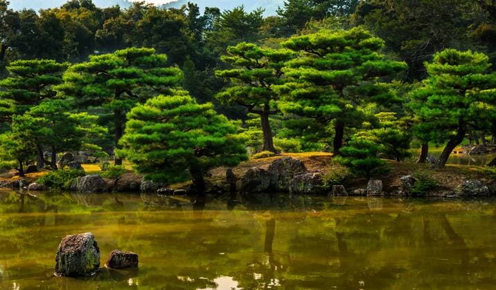 Garten des Tenryu-ji Tempels, UNESCO-Weltkulturerbe, Kyoto, Japan, Asien iblkip03776270.jpg