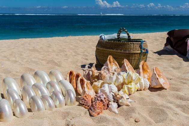 Gesammelte Muscheln werden in Bali am Strand von Souvenirhändlern zum Verkauf angeboten
