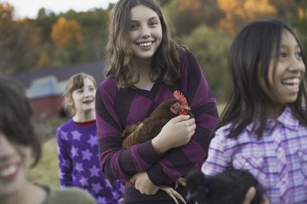 A group of four children in a group, two girls holding chickens, carrying them. A farmhouse and a hillside of trees with autumnal colours lit up by the sun. 