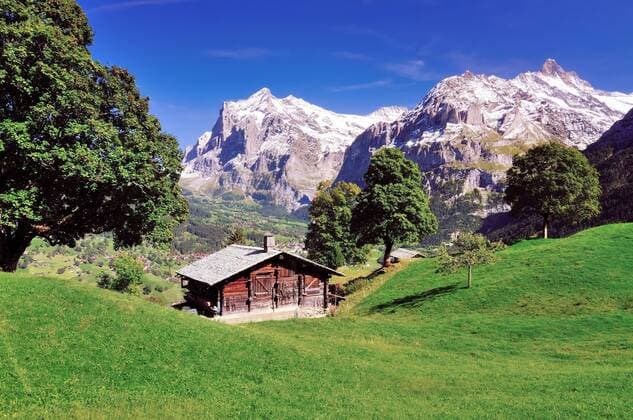 Berghütte oberhalb Grindelwald, dahinter Wetterhorn, Grindelwald, Kanton Bern, Schweiz, Europa ibxdab03927765.jpg