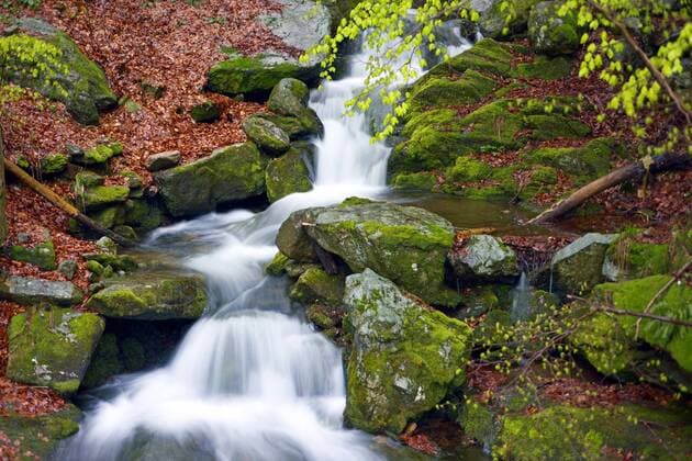 rauschender Gebirgsbach, Italien, Biella wild mountain creek, Italy, Biella BLWS369156