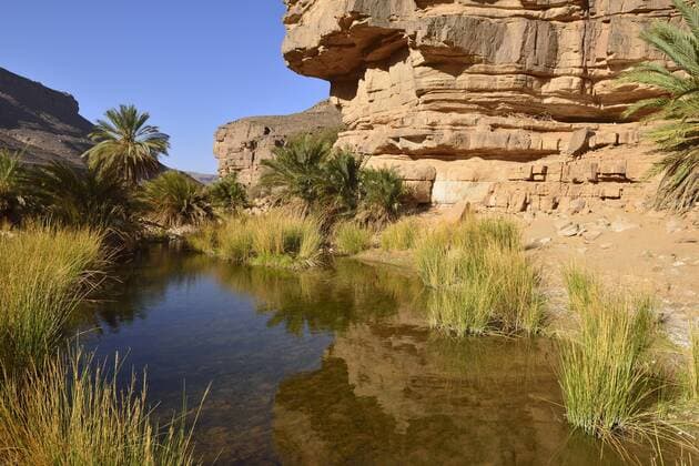 Wasser in einem Guelta im Iherir Canyon, Nationalpark Tassili-n Ajjer, Unesco-Weltnaturerbe, Sahara, Algerien, Afrika iblest03892143.jpg