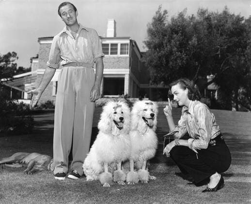 OSCARS. Bester Hauptdarsteller. Preisträger 1951-1960 June 11, 1954 - London, England, U.K. - Famous British actor DAVID NIVEN was an Academy Award winner best known for his role in The Pink Panther. PICTURED: Niven and his wife HJORDIS with their dogs in their yard. London United Kingdom  - ZUMAk09