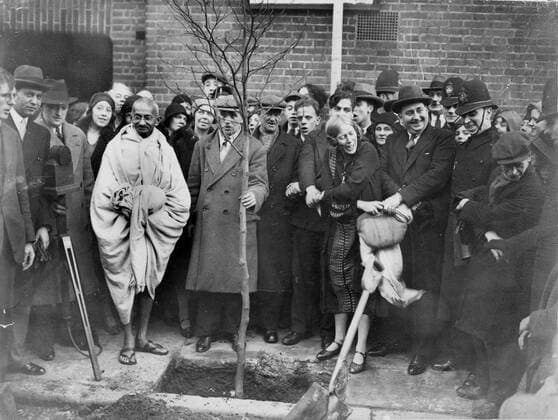 IMAGO ICONS: Mahatma Gandhi Dec. 4, 1931 - London, England, U.K. - Mr. MAHATMA GANDHI planted a tree outside Kingsley Hall, in memory of his stay there. Mr. GEORGE LANSBURY was present at the ceremony. Gandhi s friends are holding hands and swinging after the planting of the tree. London United Kingdom  - ZUMAk09