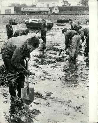 Mar. 03, 1978 - Oil crisis on the Brittany beaches. Disaster to bird and marine life has already arrived on the french coastline, as a result of the oil discharged by the Amoco Cadiz oil tanker. Tremendous efforts are being made by the local police. aided by volunteers from all over France, to lesson the effects. Schoolchildren on holiday are traveling from Paris to help. Hundreds of plastic brackets and small containers have been collected in warehouses for distribution to the army of helpers and veterinary experts are at work saving as many sea birds as they can. picture shows Soldiers already at work on the beaches.  - ZUMAk09