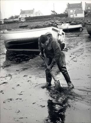 Mar. 27, 1978 - Cleaning Up the Brittany Coast after the Amoco Cadiz Oil Spill  - ZUMAk09