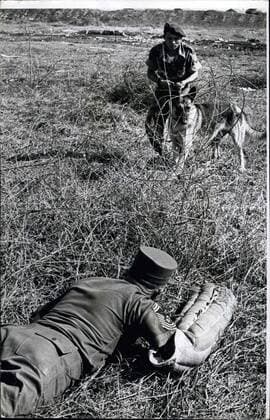 IMAGO History, Vietnamkrieg: 1955-1975 May 21, 1962 - Dogs Go To War In Vietnam: Troops of the Vietnamese Army hunting bands of Viet Cong guerrilla in the jungles and swamps will soon have the assistance of specially trained German Shepherds, bloodhounds and Doberman, pinschers to flush the Reds - from their positions. The dogs are being trained by USA Personnel near Saigon. One of the dogs alerts a sentry at a block house of the approach of someone,  - ZUMAk09