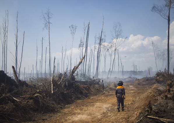IMAGO Nature: Unsere Erde, Ressourcen, Torf ITAR-TASS: TVER REGION, RUSSIA. JULY 31, 2014. An emergency worker walks past a burned forest devastated by a peat fire.  RE14BDBB