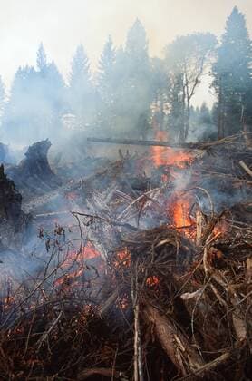 Logging slash fire, burning rubble, British Columbia, Canada.  bcp01494 ChrisxCheadle