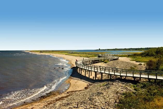 Irving Eco-Centre: La dune de Bouctouche, Acadian Coast, New Brunswick, Canada  acp49859