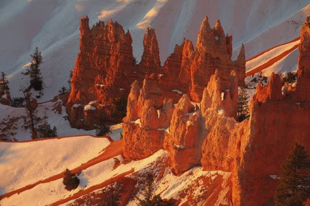Hoodoos glow in rising sun in winter at Bryce Canyon National Park, Utah, USA  acp59342