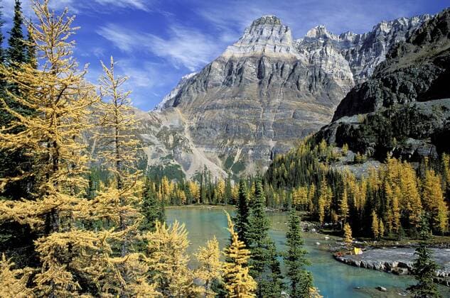 Woman camping, Yoho National Park, British Columbia, Canada  acp64287 Photography