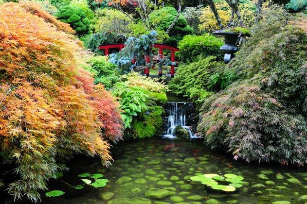 The Japanese Garden at Butchart Gardens in Victoria, BC., Canada  acp65243 photography