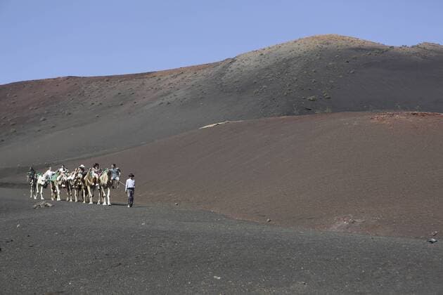 Spain, Lanzarote, Timanfaya National Park, Tourist caravan  JAT000456