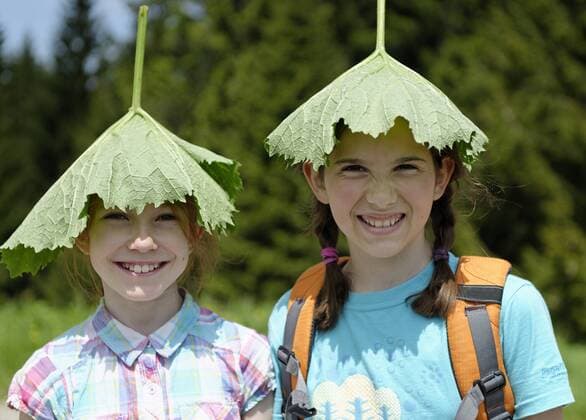 IMAGO Creative, Jahreszeit Sommer, Sonnenschutz Two girls hiking and wearing a big leaf on their head, Coltsfoot (Tussilago farfara) model released  LB000256