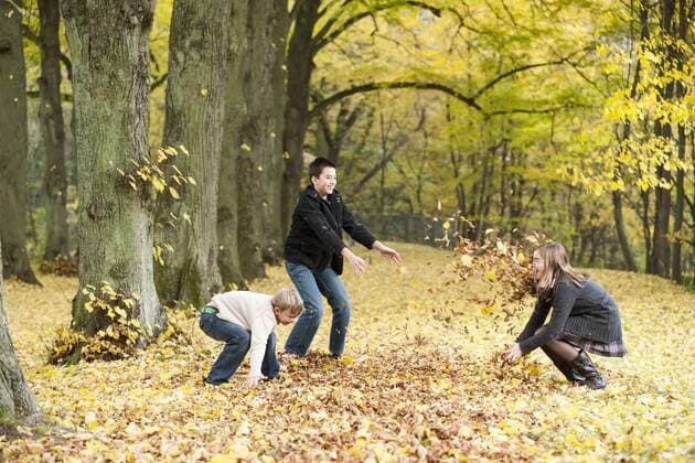 Three children throwing autumn leaves in a forest model released  PA000039
