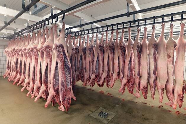 Sides of pork in cold store of a slaughterhouse property released  LYF000191
