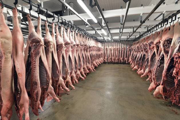 Sides of pork in cold store of a slaughterhouse property released  LYF000192