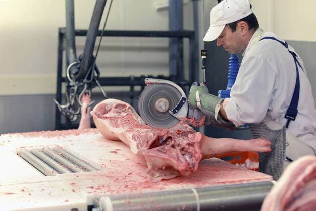 Processing of pig carcasses in a slaughterhouse model released Symbolfoto property released  LYF000199