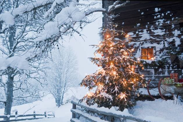 Austria, Salzburg Country, Flachau, View of illuminated christmas tree with sleigh in front of alpine hut  HHF003764