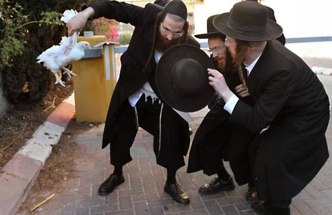 (141001) -- JERUSALEM, Oct. 1, 2014 -- Ultra-Orthodox Jews swing a white chicken over their head as they read a prayer in the Mea Shearim neighborhood of Jerusalem on Oct. 1, 2014, as part of the traditional Kaparot ceremony before the Judaism s holiest day, Yom Kippur. Kaparot is an ancient and mystical custom connected to the Jewish Day of Atonement, Yom Kippur, and can be performed anytime between Rosh HaShana (Jewish New Year) and Yom Kippur.) MIDEAST-JERUSALEM-YOM KIPPUR GilxCohenxMagen 