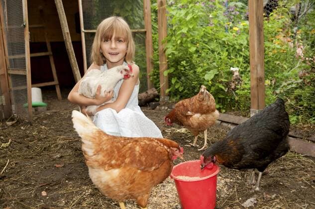 Germany, Brandenburg, Girl on hen farm model released property released  BFRF000015