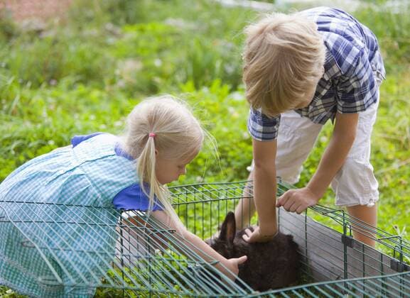 Germany, Bavaria, Boy and girl petting rabbit in garden model released property released  HSIYF000082