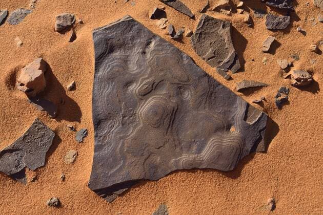 IMAGO Nature: Unsere Erde, Ressourcen, Erze Algeria, Sahara, Tassili N Ajjer, Manganese crust on sandstone  ESF000928