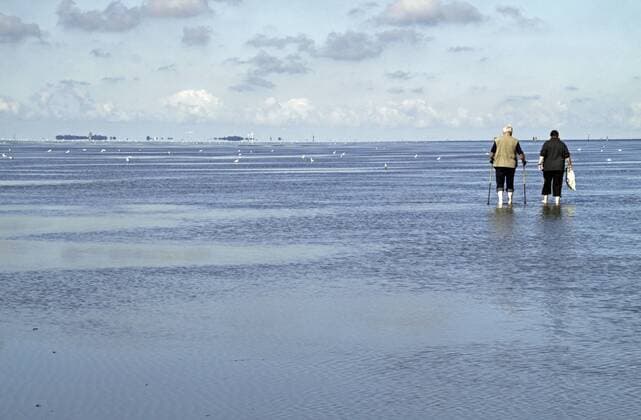 Wattwanderung, Deutschland, Niedersachsen, Cuxhaven tidal flat hiking, Germany, Lower Saxony, Cuxhaven BLWS313482