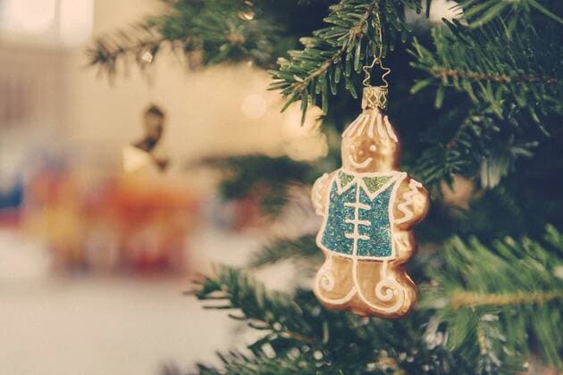 Germany, Bonn, Christmas decoration, gingerbread man on a tree property released  MFF000841