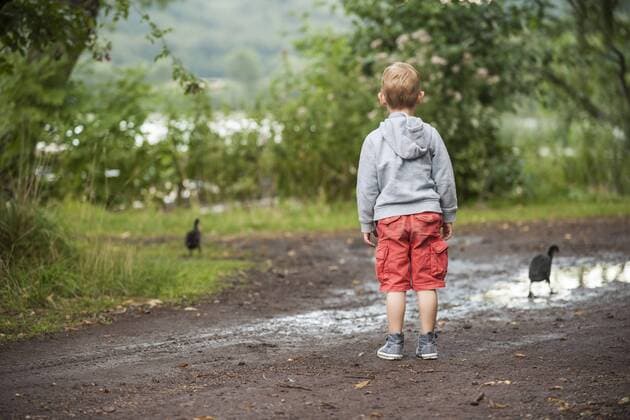 Germany, Rhineland-Palatinate, Laacher See, boy looking at two ducks model released Symbolfoto  PAF000919