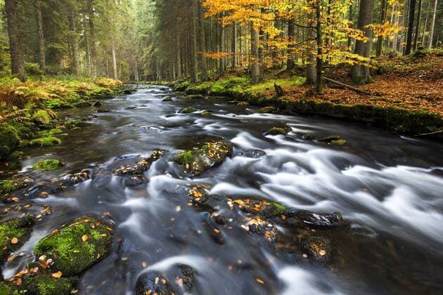 Fluss Großer Regen, Herbst, Nationalpark Bayerischer Wald, Bayern, Deutschland, Europa ibxssc04006160.jpg