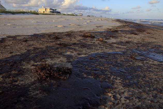 Oiled beach, contaminated by the BP Deepwater Horizon oil leak. Baldwin County, Alabama, USA, June 2010.  1308677 GerritxxVyn