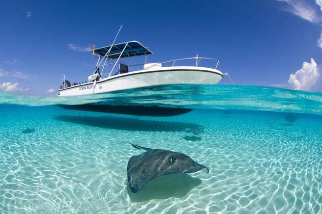 Spilt level view of a large female Southern Stingray (Dasyatis americana) beneath boat, Grand Cayman, Cayman Islands. British West Indies. Caribbean. March  1315983 AlexxxMustard