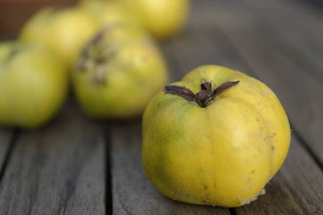 Quinces, Cydonia oblonga, on dark wood  LBF000988