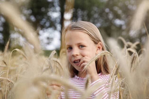 Portrait of little girl standing in a cornfield model released Symbolfoto  FKIF000070