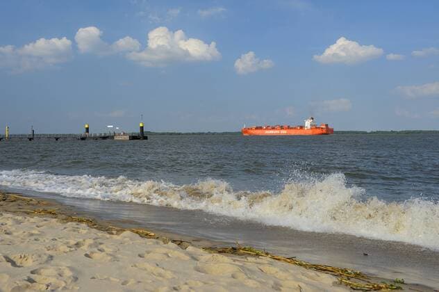 Elbinsel Krautsand, Halbinsel am Elbufer zwischen Cuxhaven und Hamburg, Schiff auf der Elbe, Deutschland, Niedersachsen, Krautsand view from river Isle Krautsand to transport ship on river Elbe, Germany, Lower Saxony, Krautsand BLWS384371