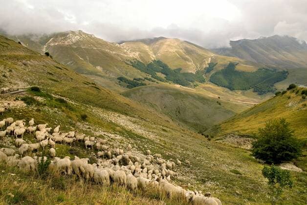Landschaft im Parco Nazionale dei Monti Sibillini, Italien, Marken, Monti Sibillini Nationalpark Landscape Image at the Parco Nazionale dei Monti Sibillini, Italy, Marche, Monti Sibillini National Park BLWS258967