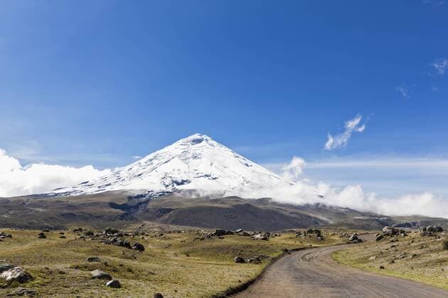 South America, Ecuador, Andes, Volcano Cotopaxi, Cotopaxi National Park  FOF007677