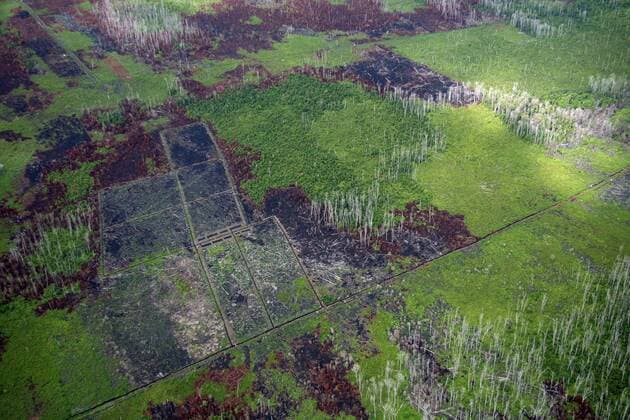 IMAGO Nature: Unsere Erde, Umweltverträgliche Herausforderungen, Regenwald Sumatra: Gefährdeter Regenwald Copyright: JOKER JoergxLoeffke JOKER090306442975