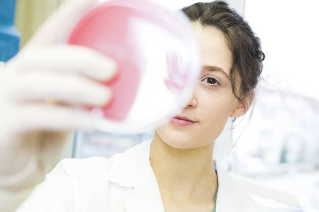 Young lab technician looking at agar plate model released Symbolfoto property released  DISF001583