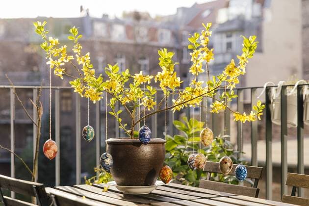 Balcony Easter decoration in Forsythia property released  MFF001569