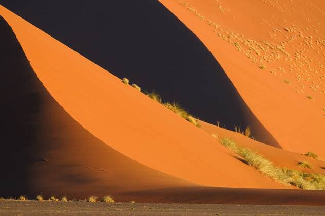 Desert Landscape with high sand dunes in late afternoon light, dotted with grassy tussocks, Namibia, Sossusvlei  HermanxvanxderxHart (58358)