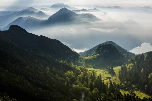 Bergwald mit Bayerischen Alpen früh am Morgen, Herzogstand, Walchensee, Oberbayern, Bayern, Deutschland, Europa Copyright: imageBROKER/RobertxSeitz ibxsei04157148.jpg