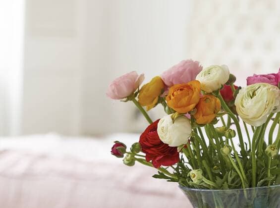 Vase with bunch of Persian buttercups property released  DISF002031