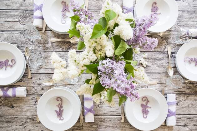 Laid table with lilac  LVF003407