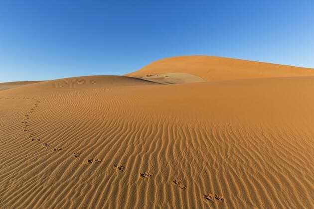 Namibia, Namib Desert, Namib Naukluft National Park, tracks of gemsbok in the sand of a dune  FOF008172