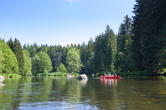 Paddler in Kanu (Kanadier) auf dem Schwarzer Regen in Regen, Niederbayern, Bayern, Deutschland model released