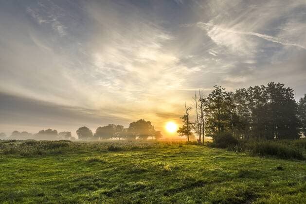  Abendstimmung, Landschaft bei Aulosen im UNESCO Biosphärenreservat Flusslandschaft Elbe, Altmark, Sachsen-Anhalt, Deutschland, Europa Copyright: imageBROKER/KarstenxHennig iblkhe04209513.jpg